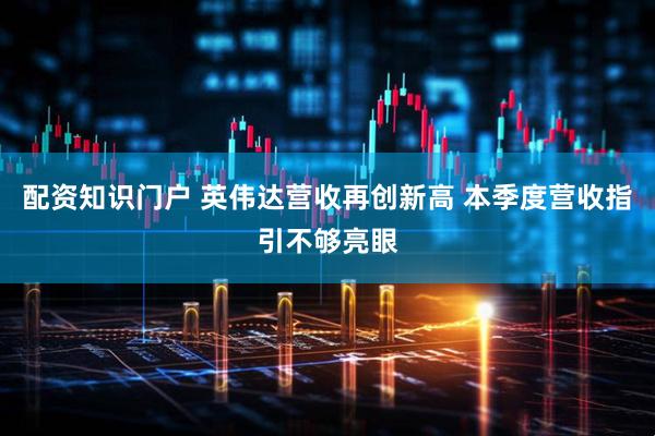 配资知识门户 英伟达营收再创新高 本季度营收指引不够亮眼